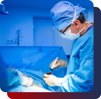 Transplante de medula óssea